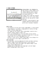 [조직론] 삼성과 구글의 조직문화 비교-5