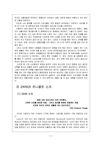 [소비자행동론] 현실주의(합리적소비)와 자라 언더웨어-4
