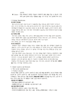 [국제경영] 삼다수의 유럽진출 방안-4