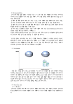 [국제경영] 삼다수의 유럽진출 방안-11