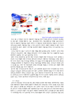 [국제경영] 삼다수의 유럽진출 방안-12