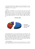 [국제경영] 삼다수의 유럽진출 방안-14