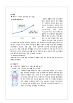 [경영학] 삼다수 국제시장 진출 방안-3
