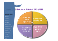 [마케팅] 롯데마트 PB상품 `롯데랑` 사례-13