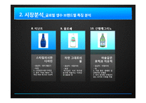 [경영학] 삼다수 국제시장 진출 방안-6