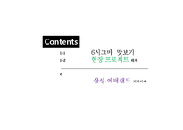 [운영관리] 삼성 에버랜드 six sigma 식스시그마 사례 분석-2