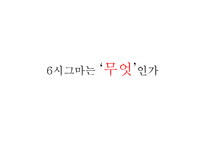 [운영관리] 삼성 에버랜드 six sigma 식스시그마 사례 분석-4