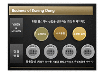 [경영학] 광동제약 마케팅 전략-4
