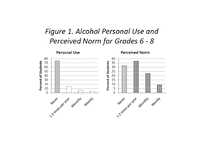 사회규범(Social norm)과 합리적 행동-5