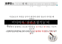 [대중문화] 대중매체의 상관조정기능-3