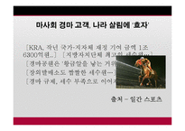 [사회학] 사행성스포츠 스포츠 토토의 실체-14