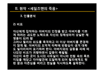 [극문학] 세일즈맨의 죽음-8