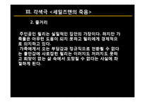 [극문학] 세일즈맨의 죽음-15