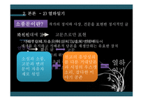 [인문학] 고전작품의 이해-열하일기-9