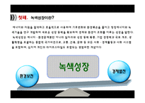 [환경경제학] 녹색성장과 친환경세제-4