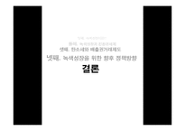 [환경경제학] 녹색성장과 친환경세제-17