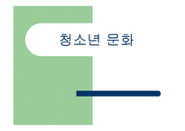 [청소년교육] 청소년 문화-1