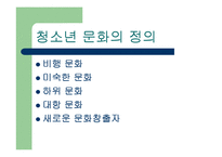 [청소년교육] 청소년 문화-2