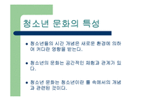 [청소년교육] 청소년 문화-3