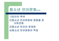 [청소년교육] 청소년 문화-4
