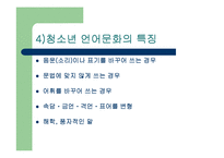 [청소년교육] 청소년 문화-8