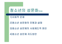 [청소년교육] 청소년 문화-9