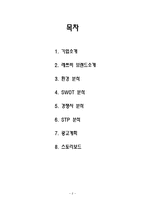 레쓰비 Letsbe 마케팅SWOT,STP분석과 광고전략제시-2