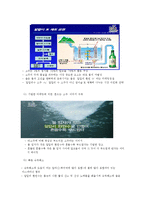 처음처럼 마케팅 SWOT,STP,4P 전략분석과 나의의견-8