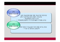 한국과 태국 및 인도네시아의 금융위기-20