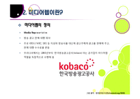 미디어렙법 도입 논란의 배경과 주요 내용, 문제점 분석(미디어렙법의 정의, 필요성, 현행 미디어렙법에 대한 비판 등)-6