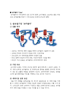 포춘지 선정 100대 기업 `코카콜라`(글로벌 경영전략)-8