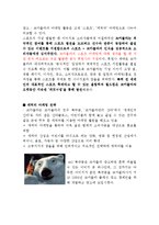 포춘지 선정 100대 기업 `코카콜라`(글로벌 경영전략)-10