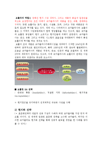 포춘지 선정 100대 기업 `코카콜라`(글로벌 경영전략)-12