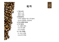카페베네 마케팅SWOT,STP,4P전략분석및 ppl마케팅,스타마케팅전략-2