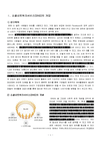 SNS 소셜네트워크서비스 정의,특징,사용현황,기업들의 sns활용사례,우리생활속sns,sns의 역기능과문제점,앞으로의발전방향,나의견해-2