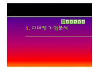 G마켓 지마켓 마케팅성공요인분석과 한계점및 향후발전전략제안-2