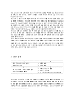 해지스VS빈폴 경영 마케팅전략 기업비교분석-8