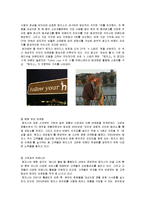 해지스VS빈폴 경영 마케팅전략 기업비교분석-13