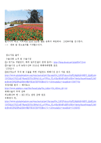 [무역학] 화훼상품 네덜란드 수출 전략-11