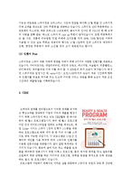 [마케팅원론] 스무디킹 마케팅전략-10