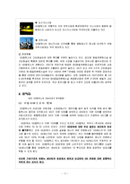 [국제경영] 셰브런 Chevron Corporation 글로벌 전략-13