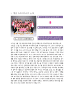 [스포츠경영] 프로구단의 스폰서십 전략-흥국생명 핑크스파이더스 사례-3