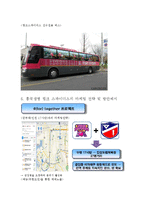 [스포츠경영] 프로구단의 스폰서십 전략-흥국생명 핑크스파이더스 사례-10