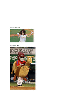 [스포츠경영] NEXEN 타이어 스폰서쉽 제안-14