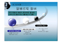 [경영학] 조직문화변화와 조직발전-사우스웨스트 항공, 알베르토 컬버 노스 아메리카 사례-18