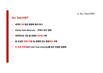 [국제경영] Sky Team 스카이팀의 성공요인 분석-9