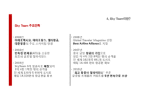 [국제경영] Sky Team 스카이팀의 성공요인 분석-12
