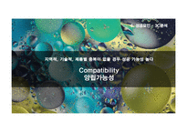 [국제경영] Sky Team 스카이팀의 성공요인 분석-14
