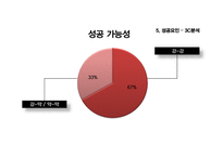 [국제경영] Sky Team 스카이팀의 성공요인 분석-15