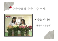 [무역학] 화훼상품 네덜란드 수출 전략-4